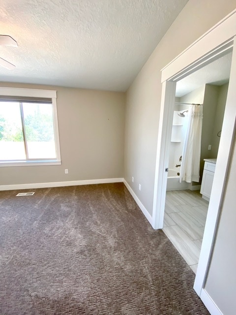 Building Photo - 10439 S Beetdigger Blvd