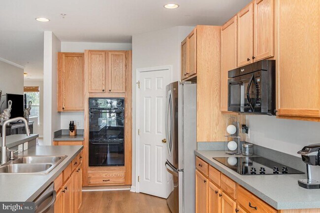 Building Photo - 1650 Mohegan Dr