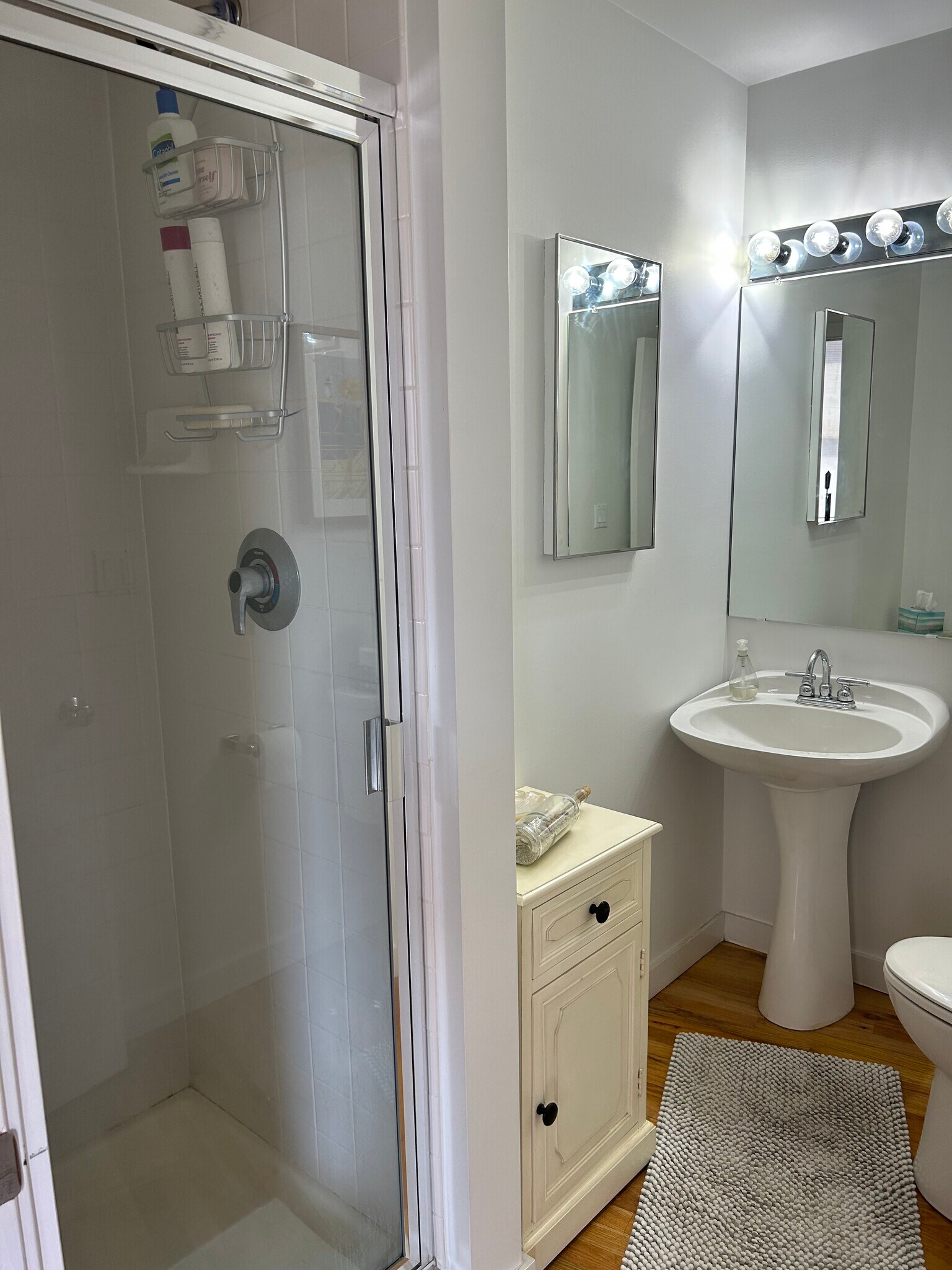 Guest Bath - 1745 Wazee St