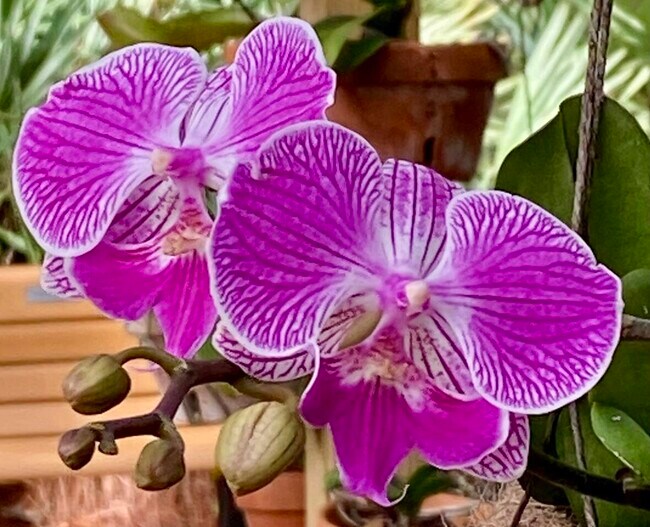 Building Photo - 206 Osprey Preserve Blvd