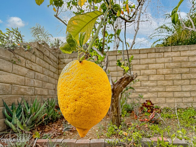 Building Photo - 780 Paseo De Leon