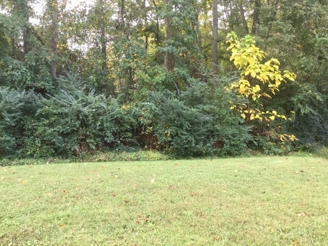 Building Photo - 3846 Pauline Ln