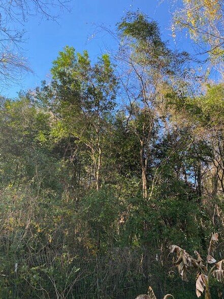 Wooded backyard, private lot - 3812 SW 15th St