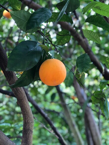 Building Photo - 12 Coach Rd