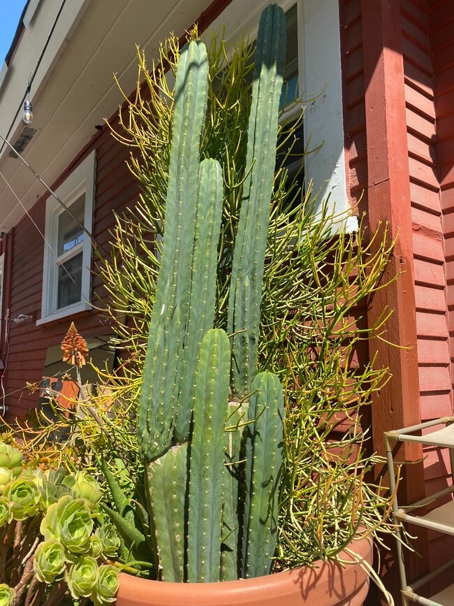 Building Photo - 3949 8th Ave