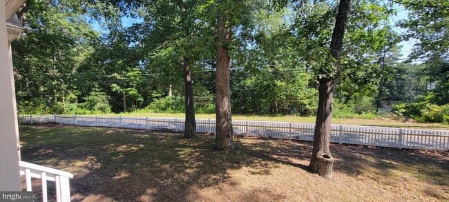 Building Photo - 2401 N Lakeshore Dr