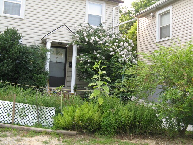 Building Photo - 517 Montgomery St