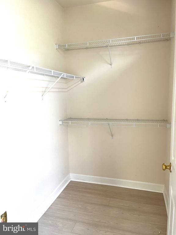 Building Photo - 3687 Spring Hollow Ln