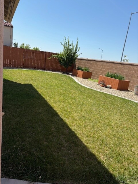 backyard - 7201 Star Trail Way