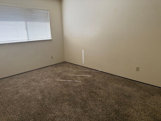 Building Photo - Holly