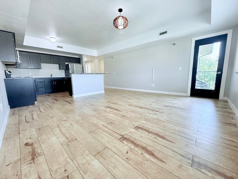 Living Room / Kitchen - 221 E 5th St