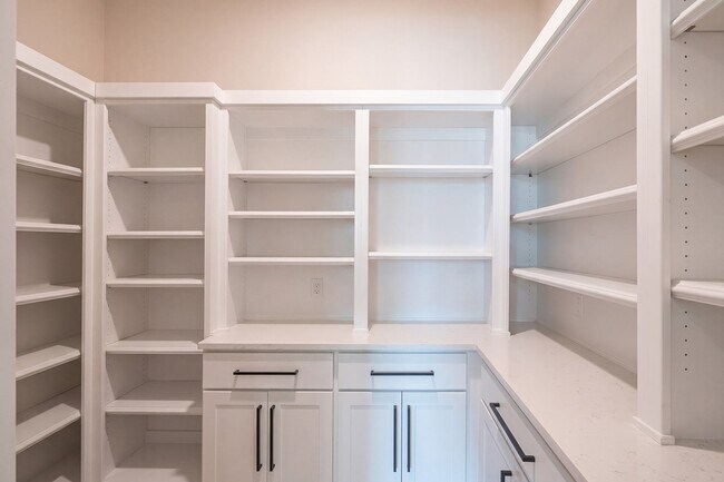 Building Photo - 10561 Lake Palmetto Dr