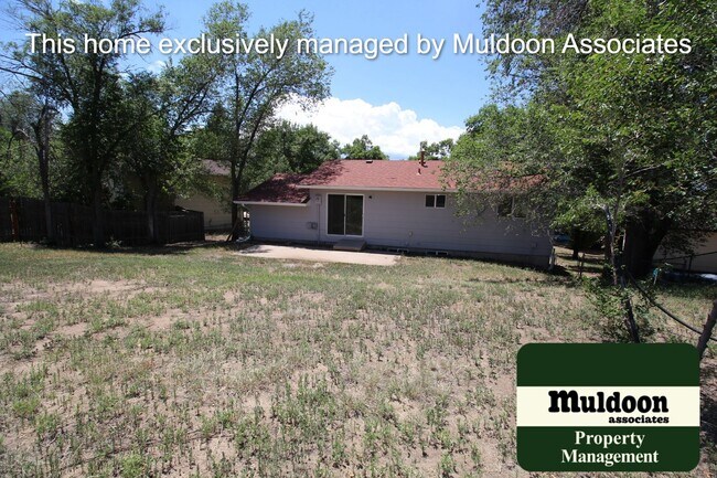 Building Photo - Lots Of New In this Home!!