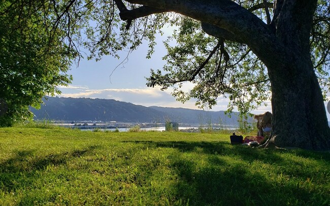 skidmore bluffs - 4214 N Albina Ave