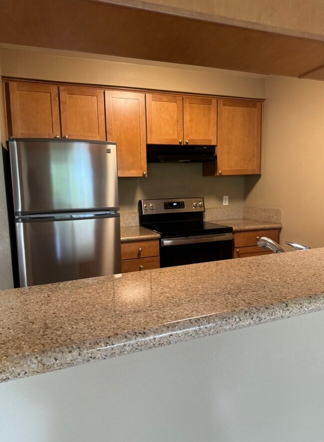 Kitchen - 233 Enterprise Dr