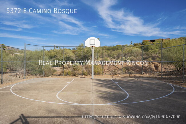 Building Photo - Location! Quintessential Tucson Classic is...