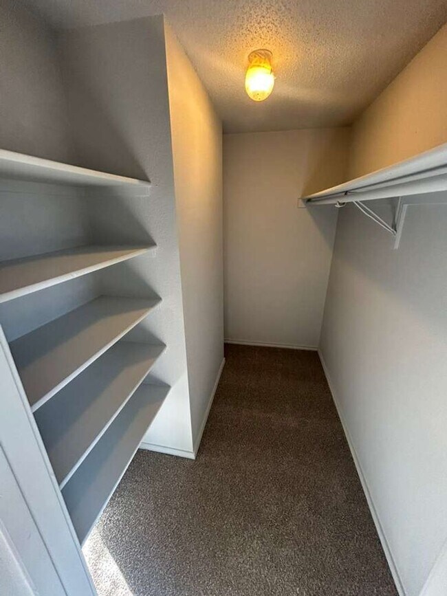 Building Photo - 1137 Beechwood Ln