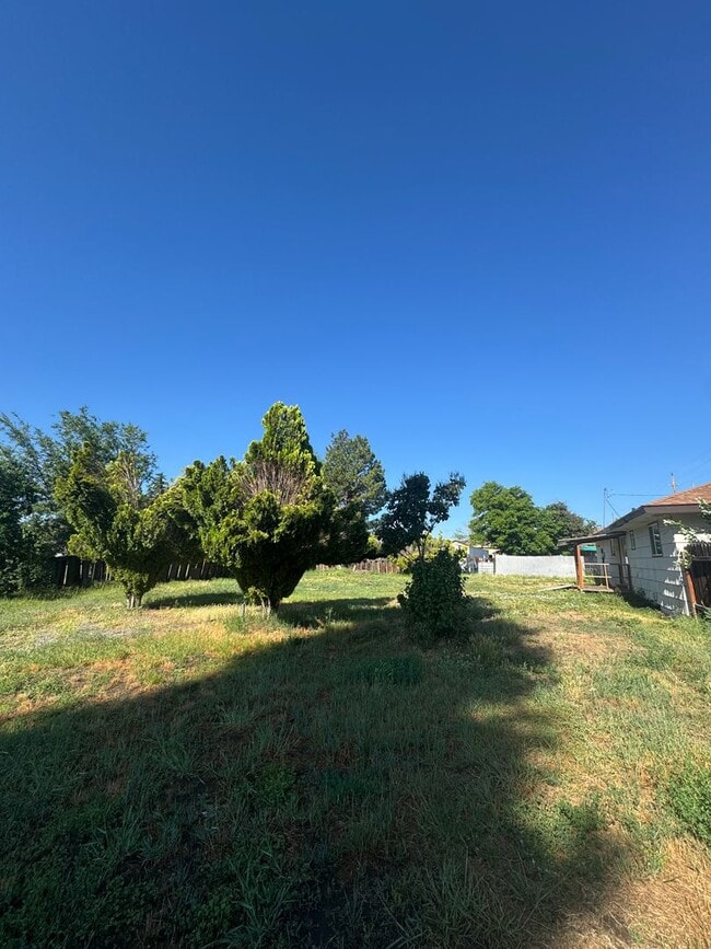 Building Photo - 3 bed 1 bath with large back yard - ONE SM...