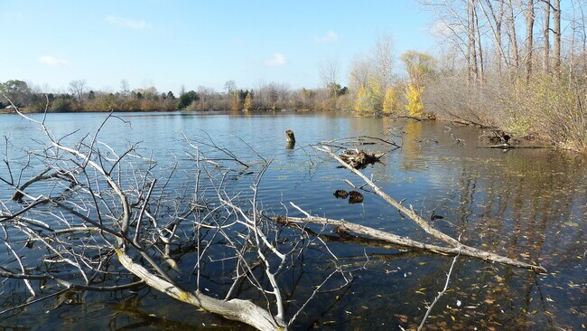 Building Photo - 11719 21 Mile Rd