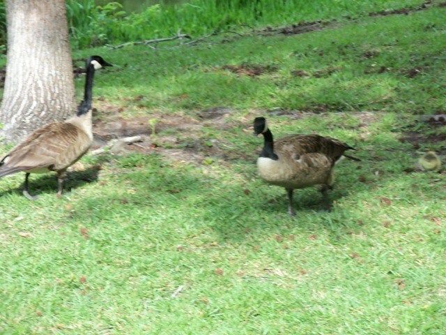 Building Photo - 2205 Southside Blvd