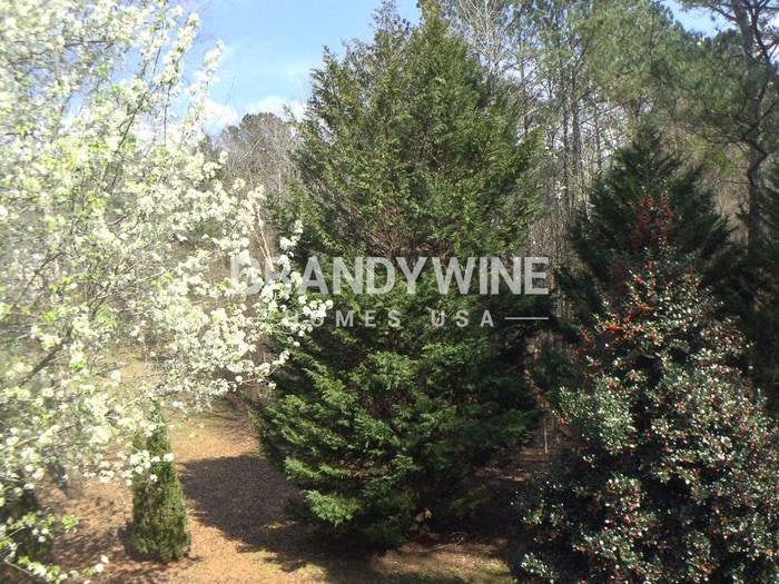 Building Photo - 1026 Miss Amber Way