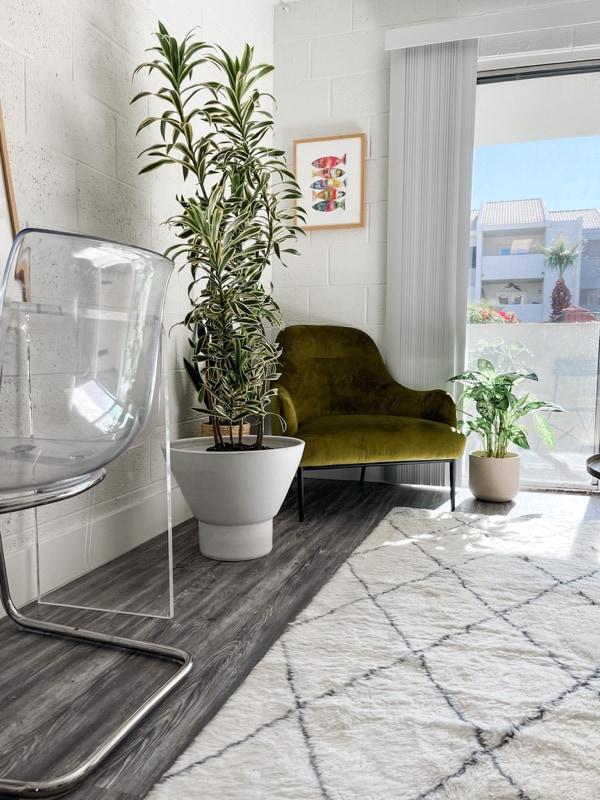 Building Photo - 1855 E Don Carlos