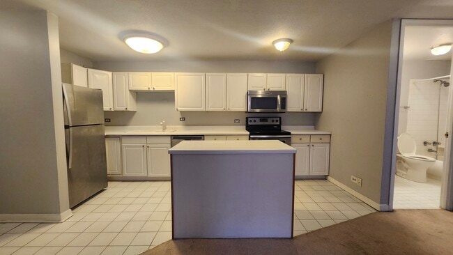 Building Photo - 1339 N Dearborn St