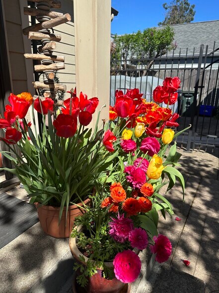 Building Photo - 445 S 4th St