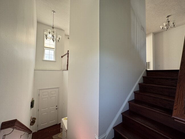 Building Photo - 3339 Sun Ct