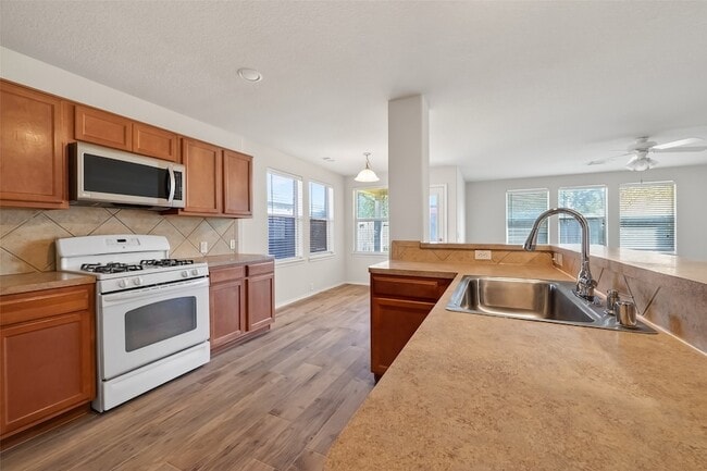 Building Photo - 827 Honeysuckle Vine Dr