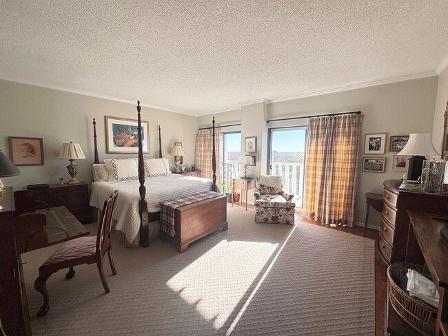 Building Photo - Luxury Living at its Finest!