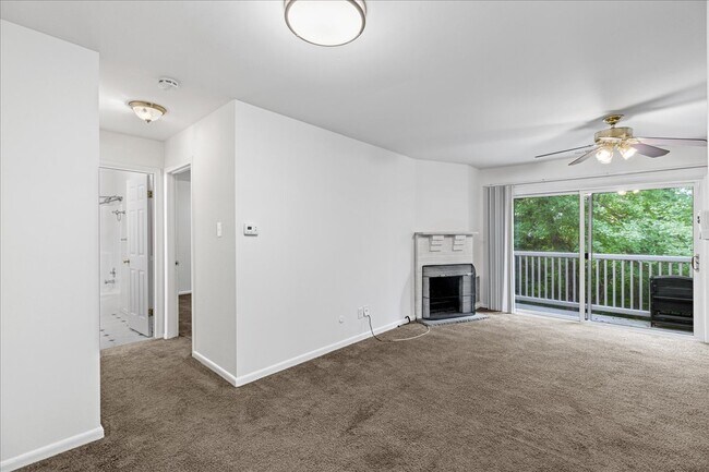 Building Photo - 703 Camelback Ct
