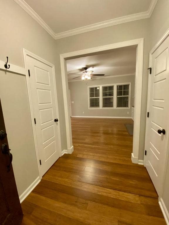 Building Photo - 36 Red Coat Dr