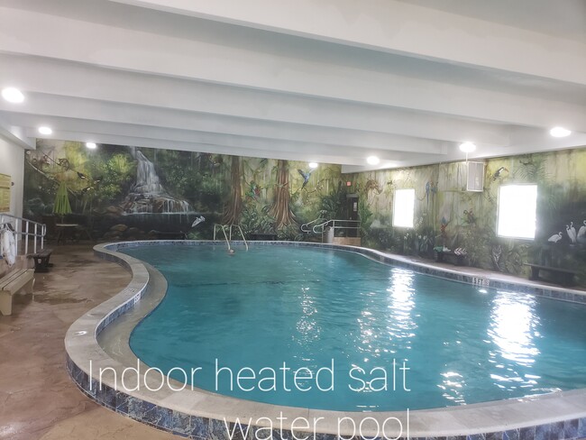 indoor salt water pool - 211 Easthampton I