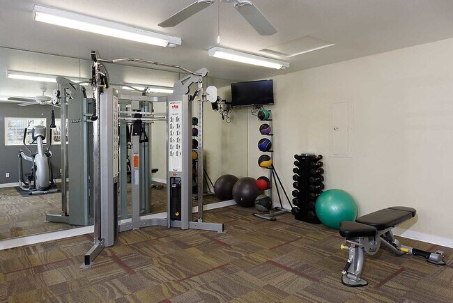 Building Photo - Camino Ruiz Square