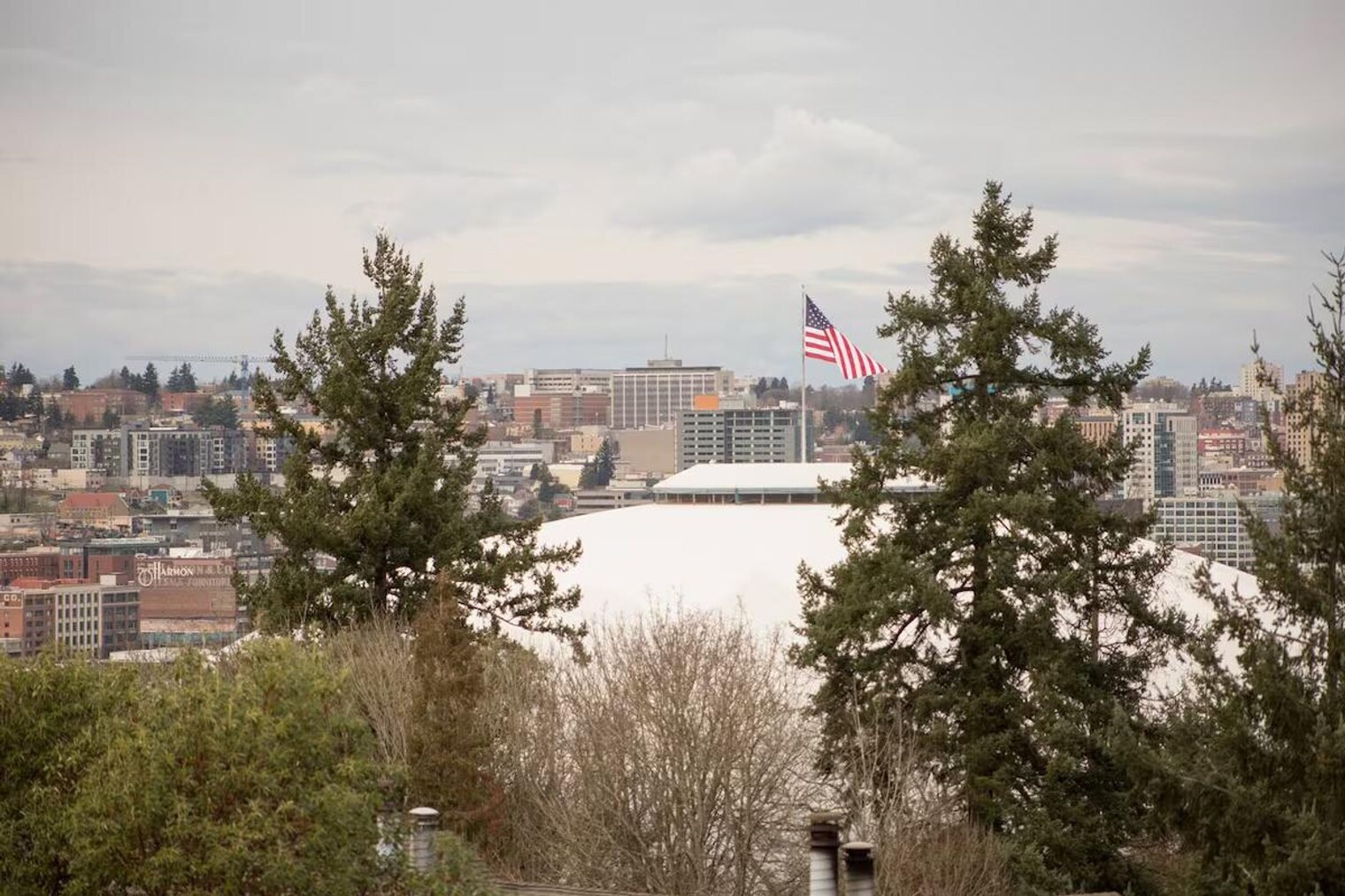 Building Photo - 624 E 32nd St