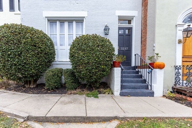 Building Photo - Terrific Two Bedroom Gem in Georgetown! Pa...