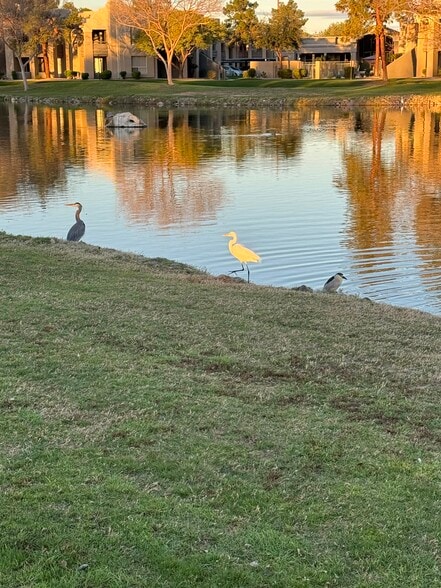 Nearby Gila Springs Park and Pond - 300 N Gila Springs Blvd