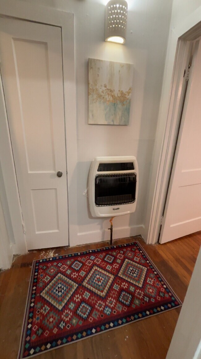 Building Photo - Furnished One Bed in Belhaven