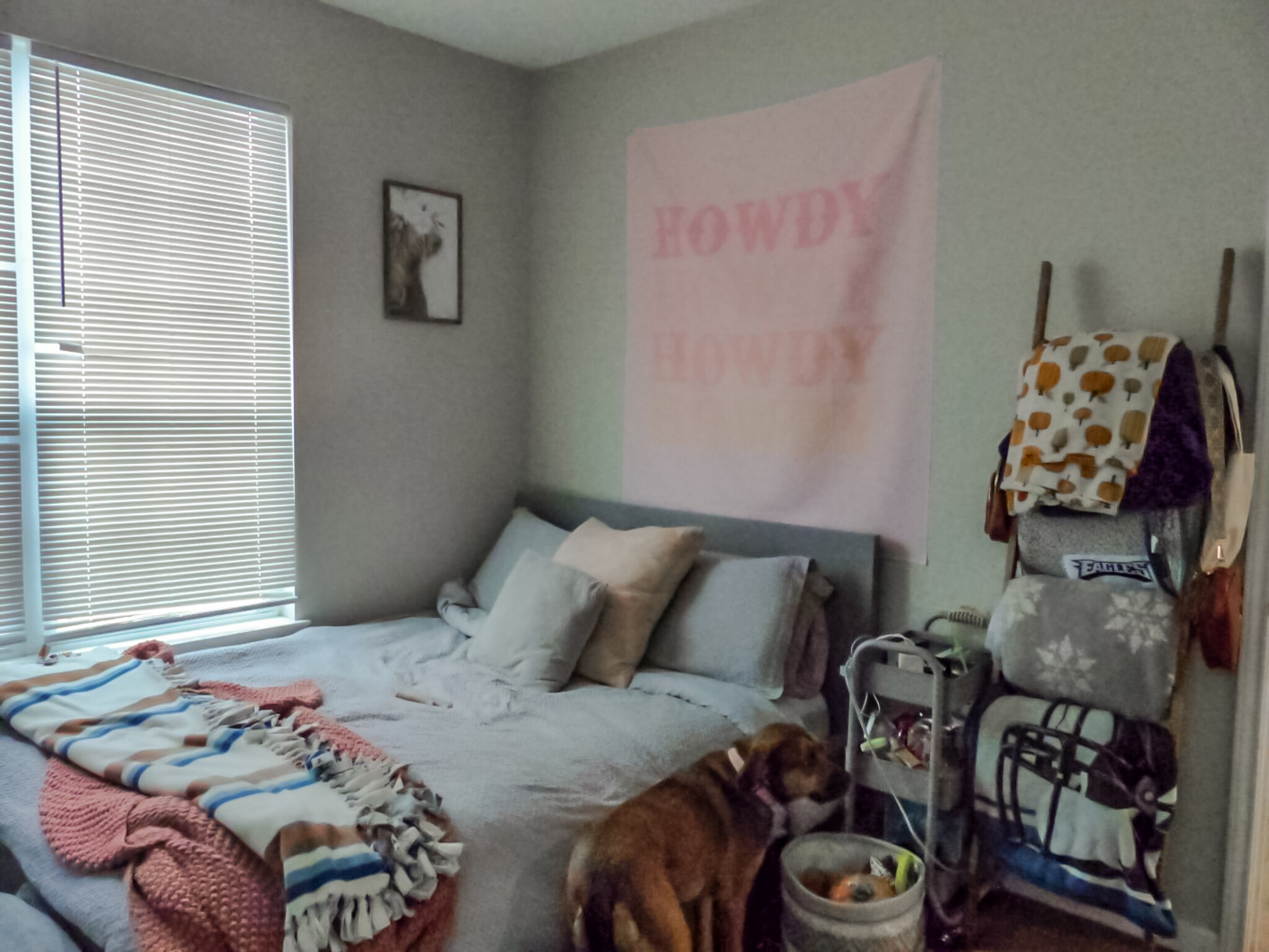 bedroom (will be unfurnished & cleaned!) - 2929 McLaren Dr