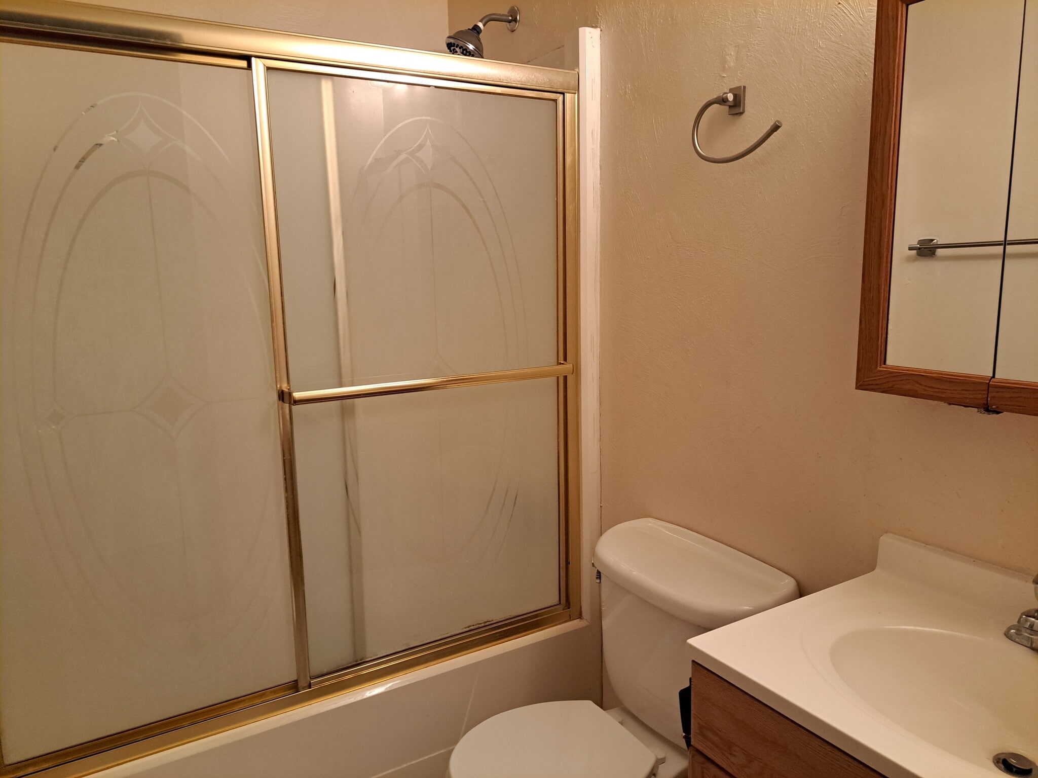 Bath with designer sliding glass doors on tub shower combination - 3812 Lebanon Church Rd