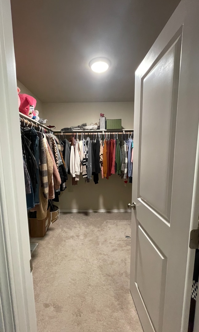 Building Photo - Spacious 3 bedroom/2 bathroom/2 car garage Ranch style home in Palmer with Soaring ceilings and m...