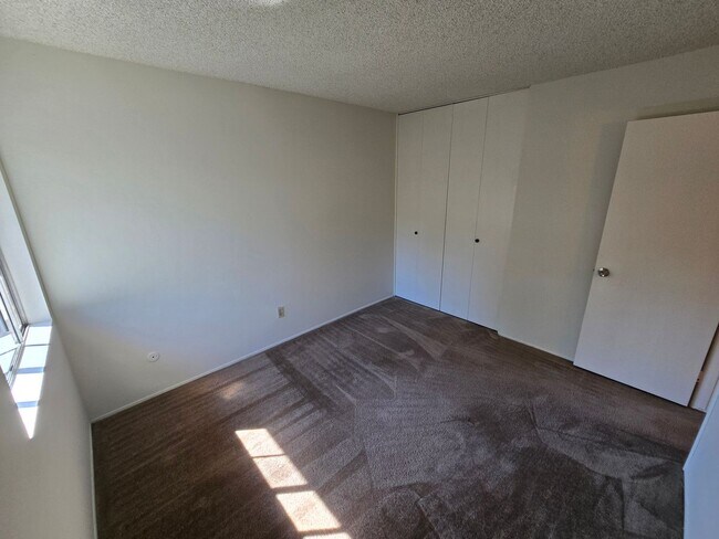 Building Photo - 910 Amistad Ct