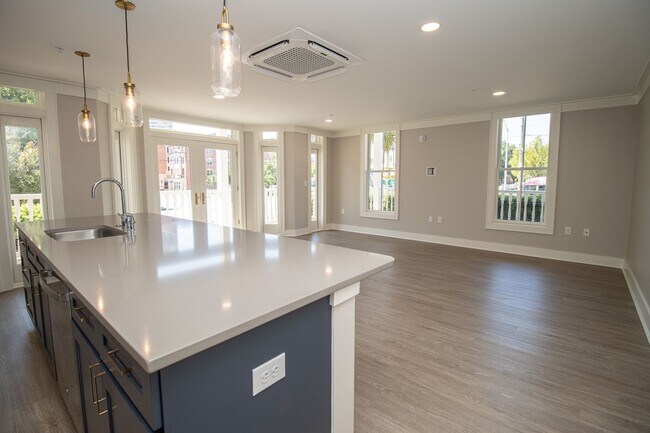 Building Photo - Historic Elegance Meets Modern Luxury – 2 Bed / 2 Bath Apartment in Downtown Columbia