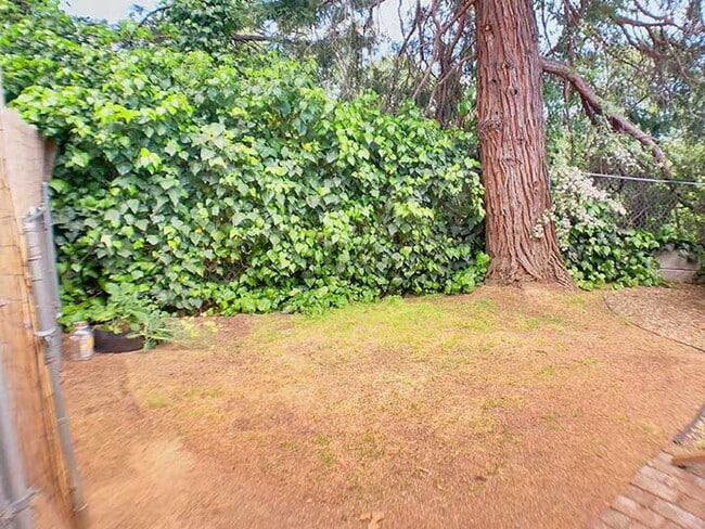Building Photo - Immaculate studio cottage in the heart of ...