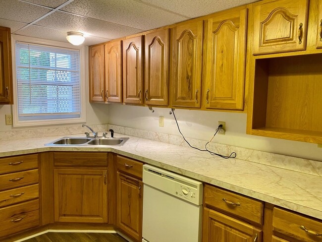 Building Photo - South AVL - Spacious 1/1 Apt with Sunroom!