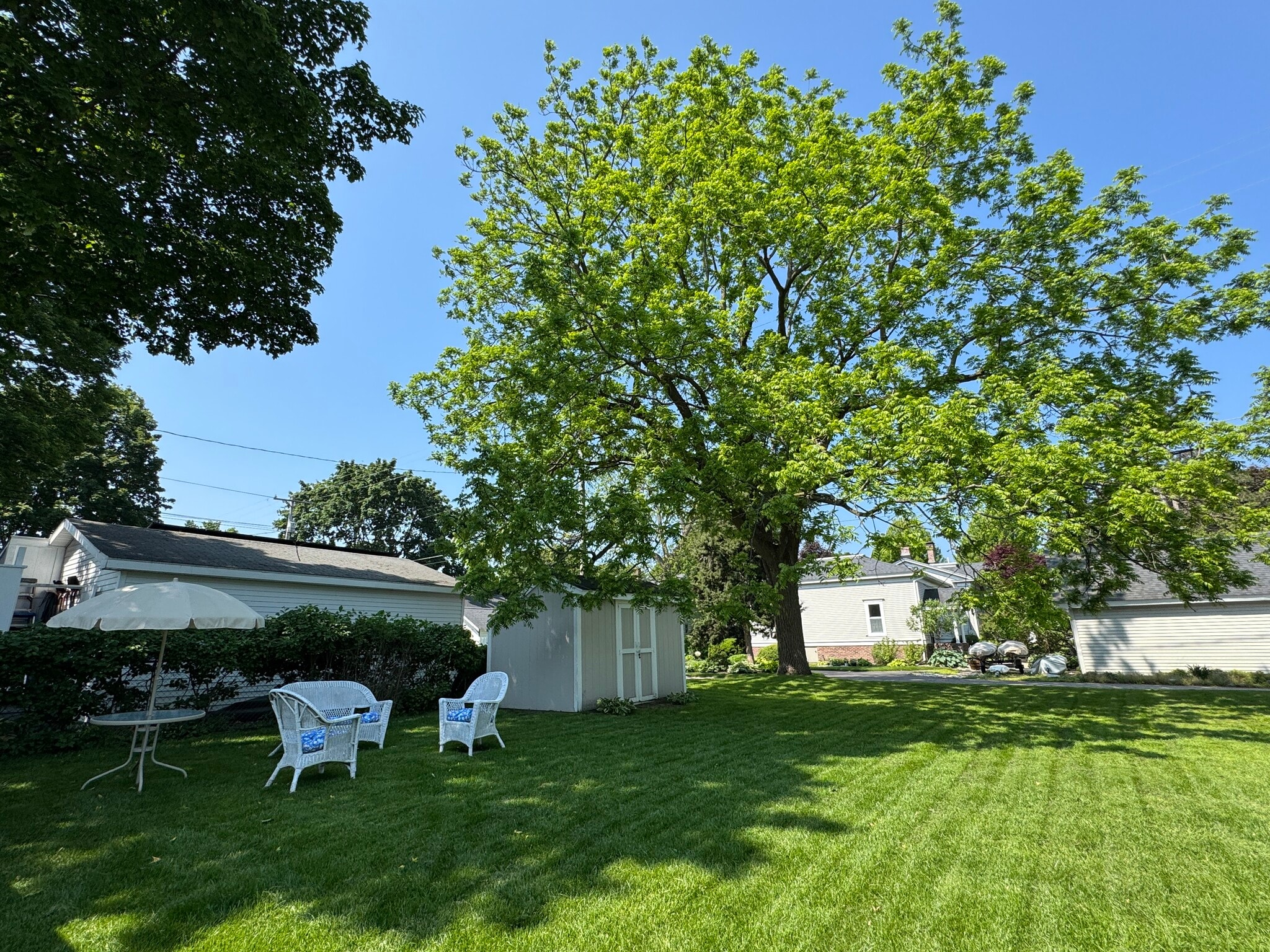 Communal yard - 209 N William St
