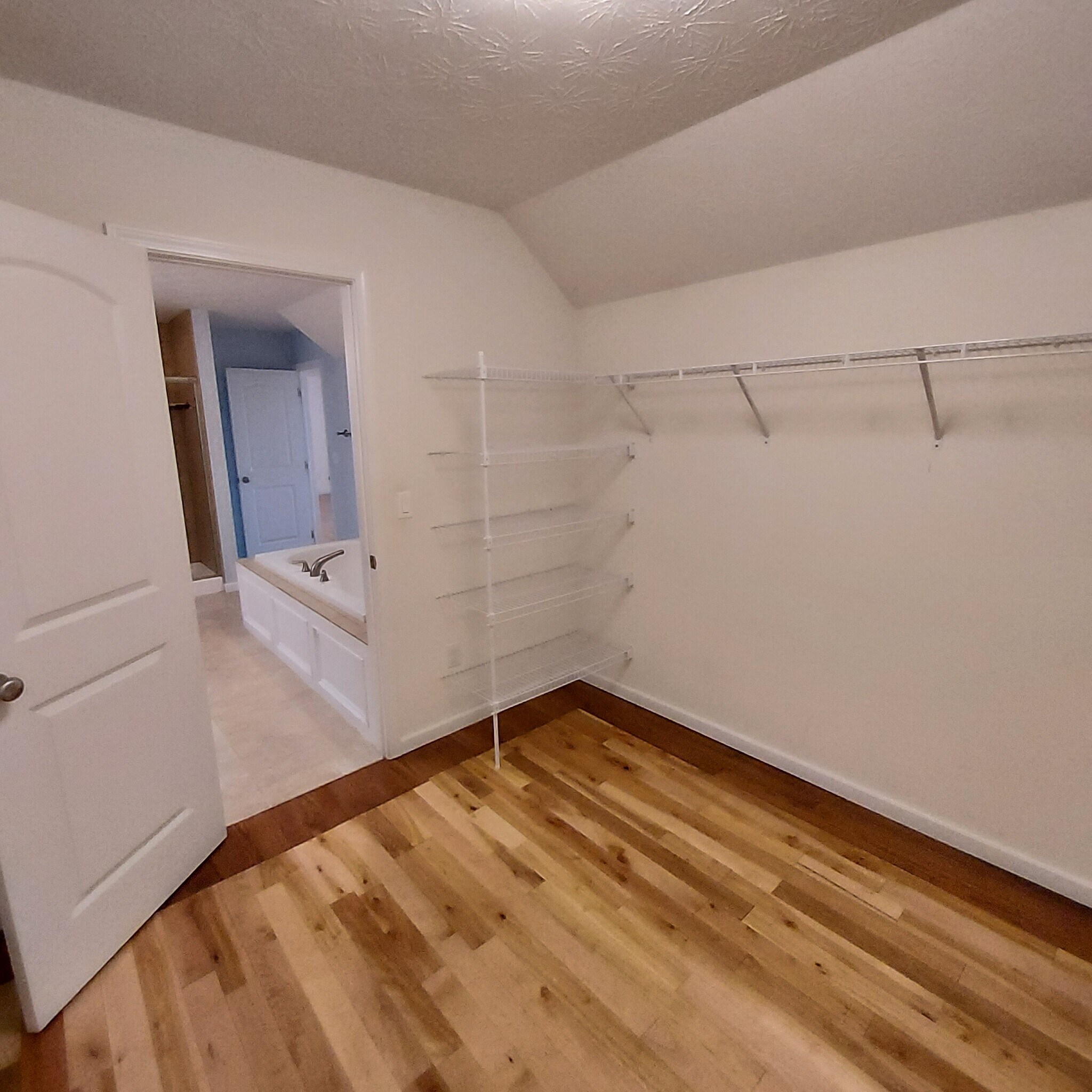 The closet looks even larger when empty! - 1238 Freedom Pt