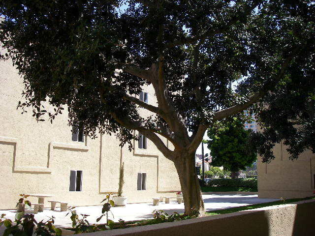 Building Photo - 3440 Lebon Dr