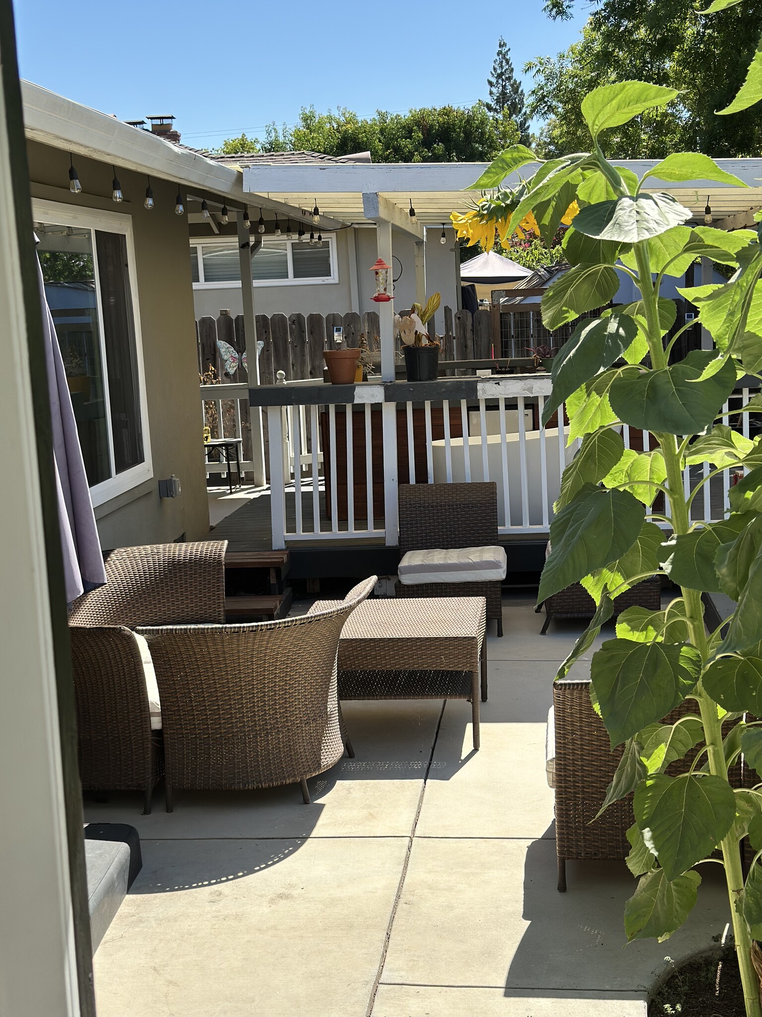 Back patio - 4746 Crestview Dr